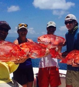 Red Snapper at St. George Island